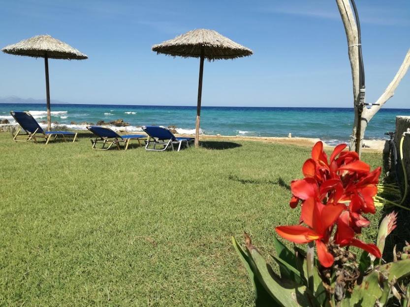 Studio Thalassa Kypseli Exterior foto